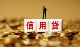 成都短期哪有个人借贷-成都短期小额贷款公司-成都短期私借空放免费上门
