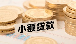成都短期身份证贷款平台-成都短期私人借贷不查征信-成都短期空放借钱